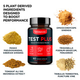 TestPlus - Performance Enhancer