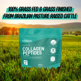 PhiNaturals Collagen Peptides 454g – peptides de collagene – poudre de collagene hydrolyse-Daily Usage Guide | poudre collagene - poudre collagene boisson – PhiNaturals Collagen Peptides Diagram | collagene cycle - peptides de collagene-collagene en poudre-poudre de collagène hydrolysée-collagene marin en poudre-protein powder for women