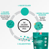 Hydrolyzed Collagen Peptides Powder